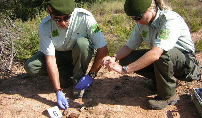 Agentes forestales medio natural owngis